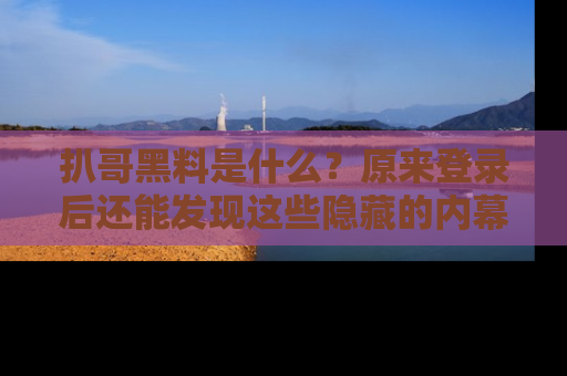 扒哥黑料是什么？原来登录后还能发现这些隐藏的内幕！