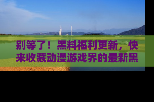 别等了！黑料福利更新，快来收藏动漫游戏界的最新黑料吧！