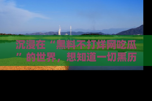 沉浸在“黑料不打烊网吃瓜”的世界，想知道一切黑历史与内幕信息的网站！