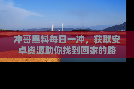 冲哥黑料每日一冲，获取安卓资源助你找到回家的路