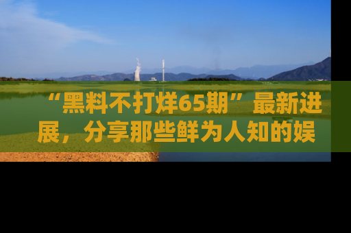 “黑料不打烊65期”最新进展，分享那些鲜为人知的娱乐八卦