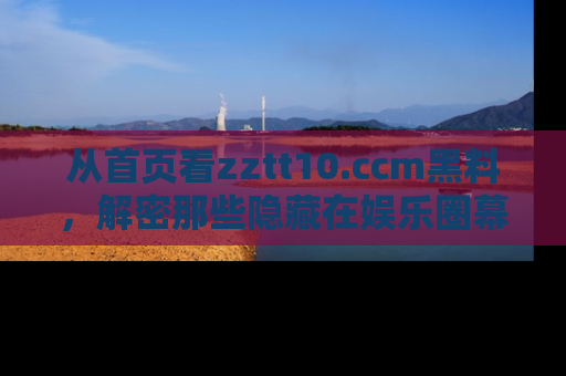 从首页看zztt10.ccm黑料，解密那些隐藏在娱乐圈幕后的丑闻故事！