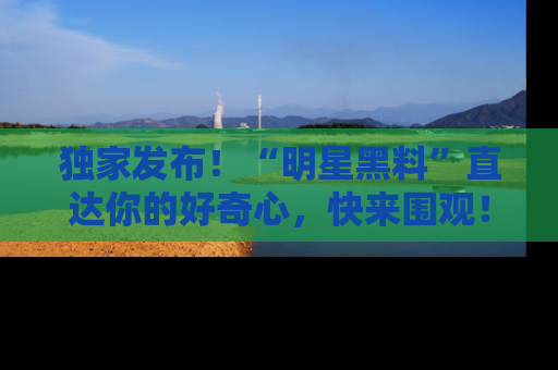 独家发布！“明星黑料”直达你的好奇心，快来围观！