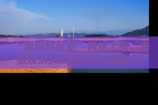 “黑网料最新”网站上线，海量娱乐资讯带你直达网友讨论的中心！