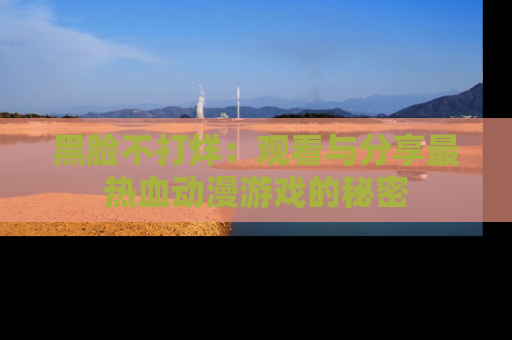黑脸不打烊:观看与分享最热血动漫游戏的秘密