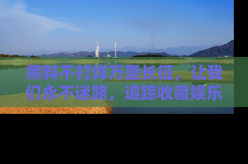黑料不打烊万里长征，让我们永不迷路，追踪收藏娱乐爆料的乐趣！