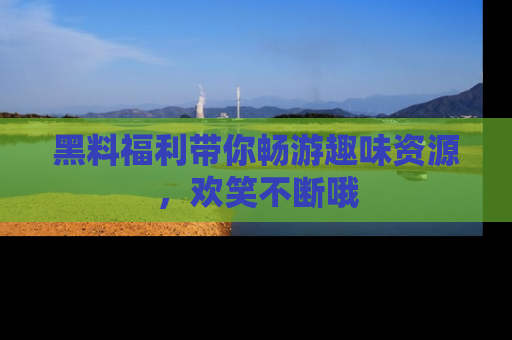 黑料福利带你畅游趣味资源，欢笑不断哦