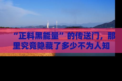 “正料黑能量”的传送门，那里究竟隐藏了多少不为人知的秘密？