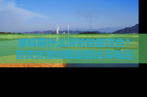 黑料网什么浏览器最适合？首页资源加载速度比乌龟还慢的体验真心吐槽！