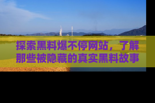 探索黑料爆不停网站,了解那些被隐藏的真实黑料故事