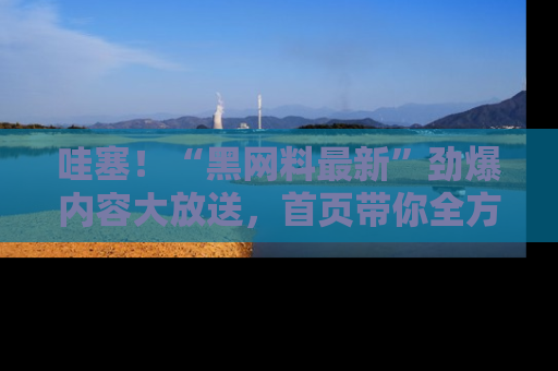 哇塞!“黑网料最新”劲爆内容大放送,首页带你全方位了解哦,小可爱们