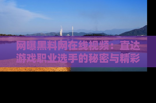 网曝黑料网在线视频：直达游戏职业选手的秘密与精彩动漫片段！