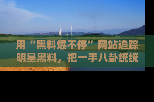 用“黑料爆不停”网站追踪明星黑料,把一手八卦统统收进你的后宫中!