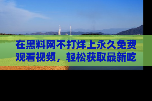 在黑料网不打烊上永久免费观看视频,轻松获取最新吃瓜资讯!