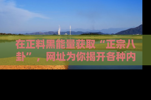 在正料黑能量获取“正宗八卦”,网址为你揭开各种内幕故事!